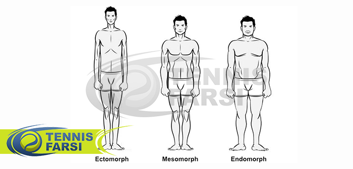 طبقه بندی انواع تیپ بدنی
